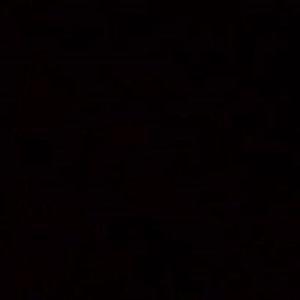 Meet your Posher, Sydni